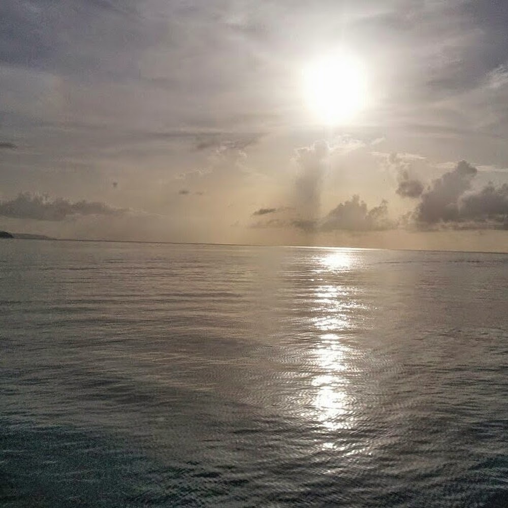 Meet your Posher, Aisha